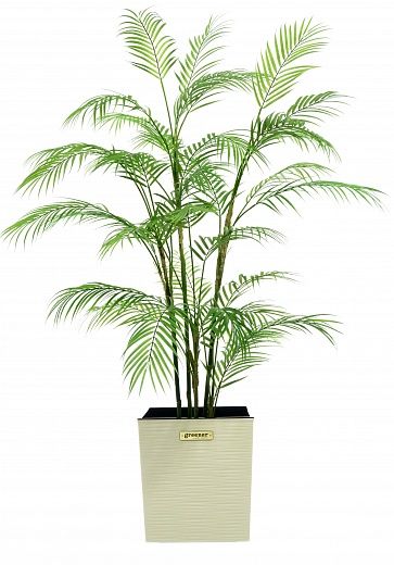 Elbay date palm cachepot Dekollete Clasico 30