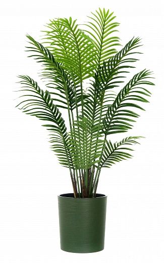 Madia date palm cachepot Dekollete Clasico 30 Eco