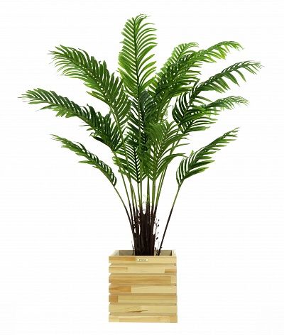 Date palm Bizerte cachepot Dekollete Bandas 30 available to order 1 piece