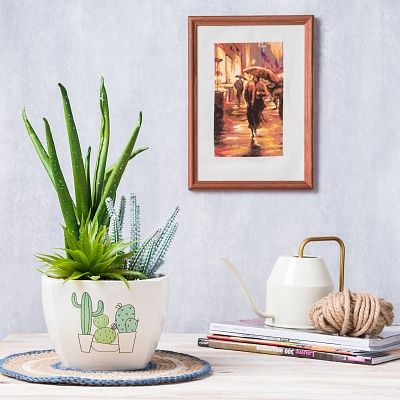 Succulent Agave Kiljot Cachepot Dekollete set of 2 pieces Agave Lomil Cachepot Dekollete