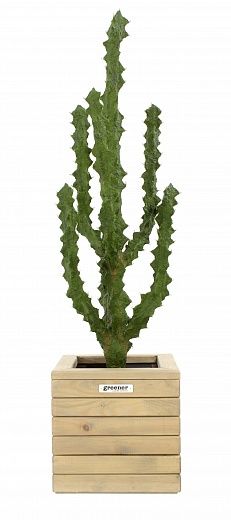 Cactus Ridge Cachepot Dekollete Roca Cube 30 available to order 1 piece