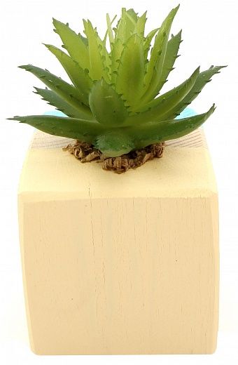 Agave Dacca cachepot Dekollete Wood W 5