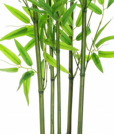 Bamboo Numata cachepot Dekollete Serso 46