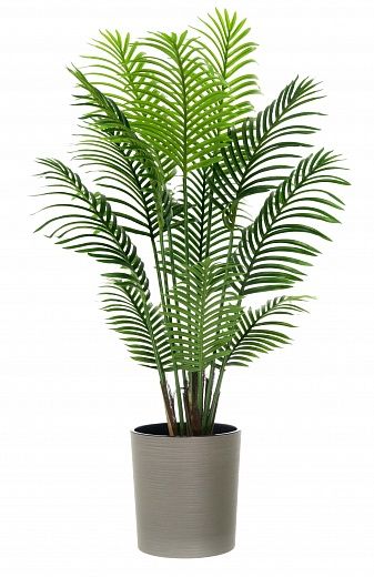 Madia date palm cachepot Dekollete Clasico 30 Eco