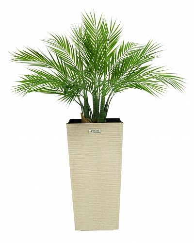 Palm Pichino Fitta Cachepot Dekollete Kuno 46 Eco