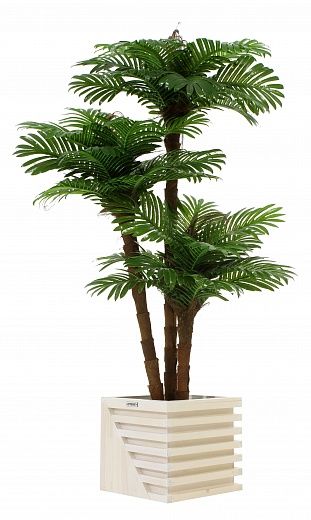 Date palm Avalon cachepot Dekollete Stream 27