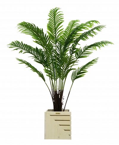 Date palm Bizerte cachepot Dekollete Stream 30 available to order 1 piece