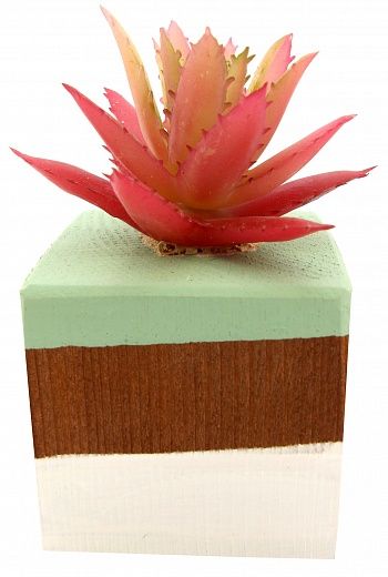 Agave Dacca cachepot Dekollete Wood 5