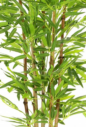 Bamboo Izmir cachepot Dekollete Stream