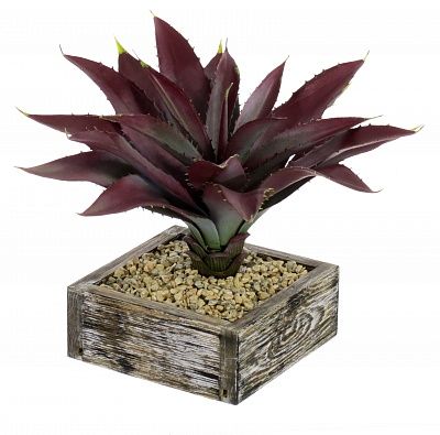 Agave Ford Cachepot Dekollete Wood available to order 1 piece