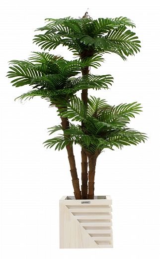 Date palm Avalon cachepot Dekollete Stream 27