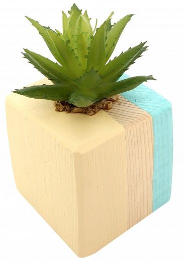 Agave Dacca cachepot Dekollete Wood W 5