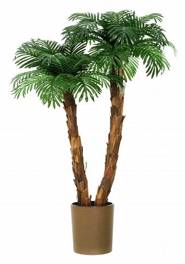 Palm Linara cachepot Dekollete Clasico 30 Eco