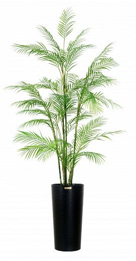 Elbay date palm 160 cachepot Dekollete Serso 46