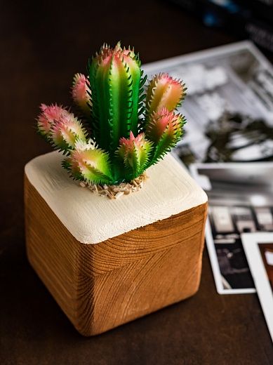 Cactus Cuir cachepot Dekollete Wood 7