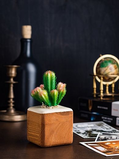 Cactus Cuir cachepot Dekollete Wood 7