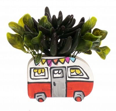 Children's Bus succulent mix available to order 5 pieces