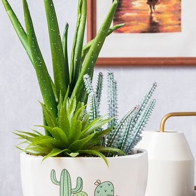 Succulent Agave Kiljot Cachepot Dekollete set of 2 pieces Agave Lomil Cachepot Dekollete