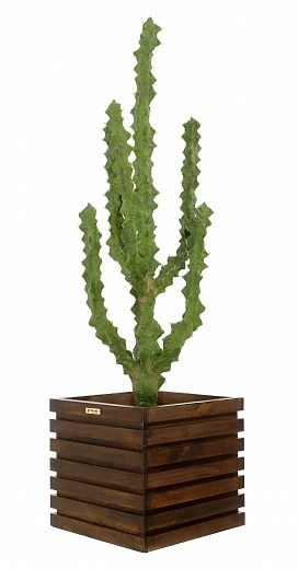 Cactus Ridge Cachepot Dekollete Bandas 30 color available to order 1 piece