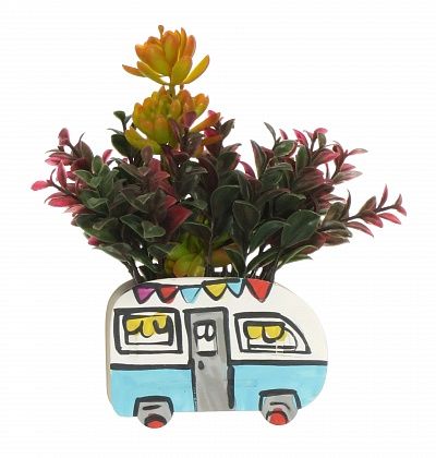 Children's Bus succulent mix available to order 5 pieces