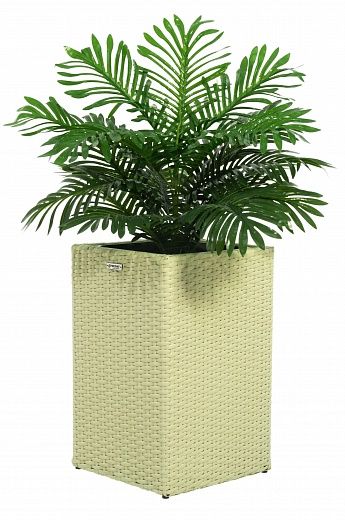 Date palm Baura cachepot Dekollete Rattan 50