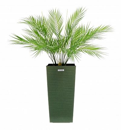 Palm Ayora Tres cachepot Dekollete Kuno 46 Eco