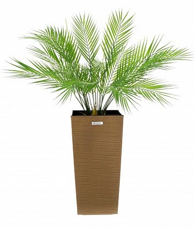 Palm Ayora Tres cachepot Dekollete Kuno 46 Eco