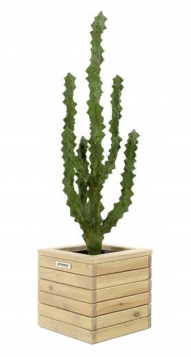 Cactus Ridge Cachepot Dekollete Roca Cube 30 available to order 1 piece