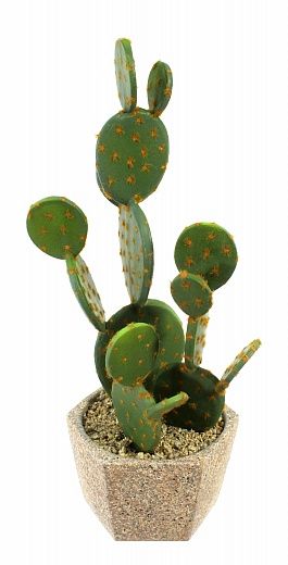 Cactus Martinez Cachepot Dekollete Granite