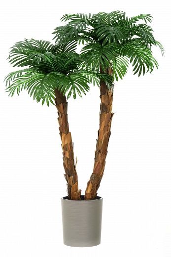 Palm Linara cachepot Dekollete Clasico 30 Eco