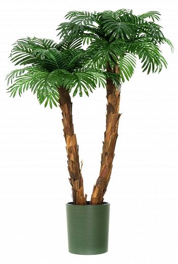 Palm Linara cachepot Dekollete Clasico 30 Eco