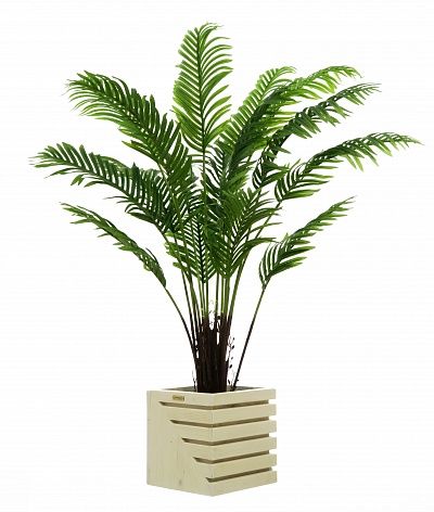 Date palm Bizerte cachepot Dekollete Stream 30 available to order 1 piece