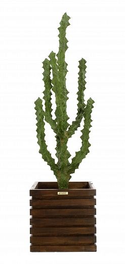 Cactus Ridge Cachepot Dekollete Bandas 30 color available to order 1 piece