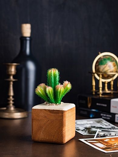 Cactus Cuir cachepot Dekollete Wood 7