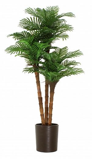 Date palm Atwood cachepot Dekollete Clasico 30