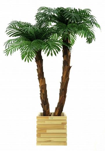 Palm Linara cachepot Dekollete Bandas 30 color