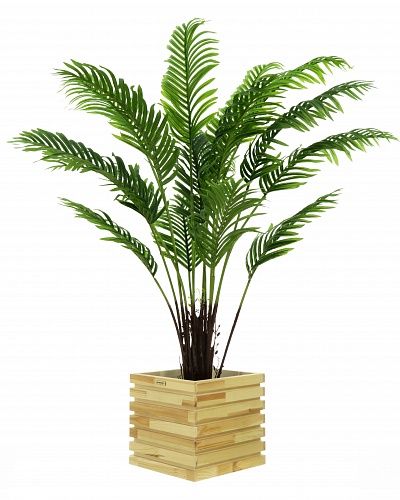 Date palm Bizerte cachepot Dekollete Bandas 30 available to order 1 piece