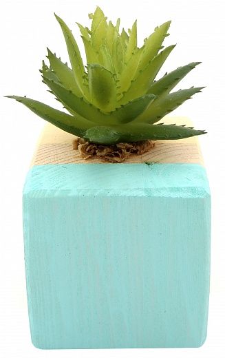 Agave Dacca cachepot Dekollete Wood W 5