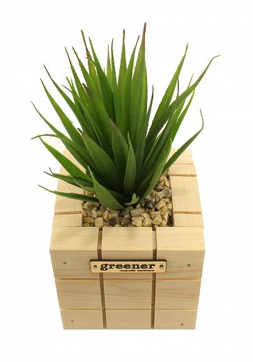 Agave Puata Cachepot Dekollete Chess 10